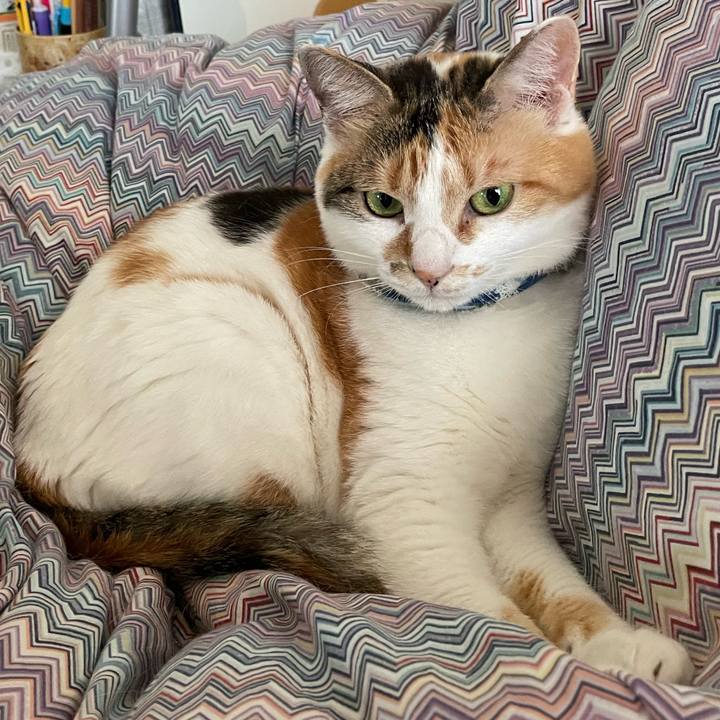 2bf1bf94 a4c4 4a74 8720 f01652234f65 1717457624075