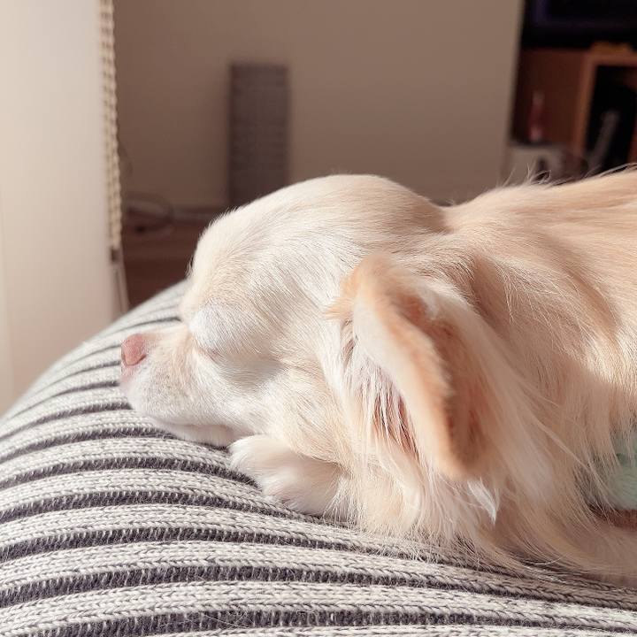 2bf1c0db 996d 40ac bd54 f8f889d3dadf 1733751810802