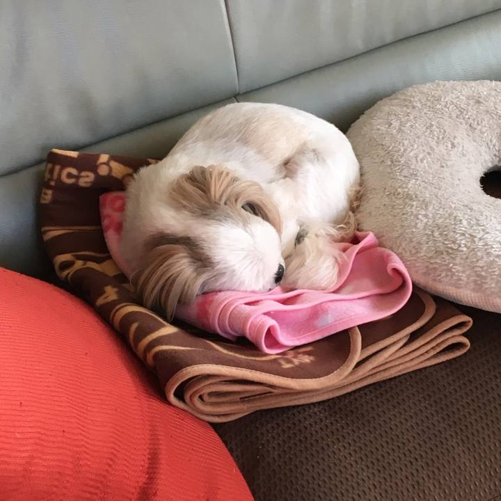 2bf1cdfb f25a 4a68 855c ff1e668c3fa5 1580339342258