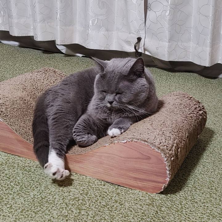 2bf1d0f5 4bc4 4f93 98ba 7d185cb7207d 1758803965365