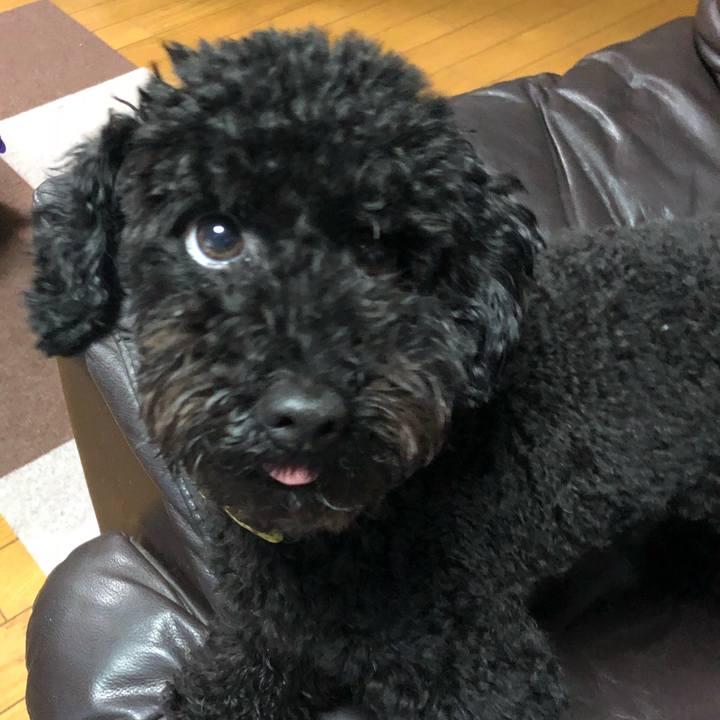 2bf1d966 2b82 411f a7b0 49c5420e1799 1507940370905