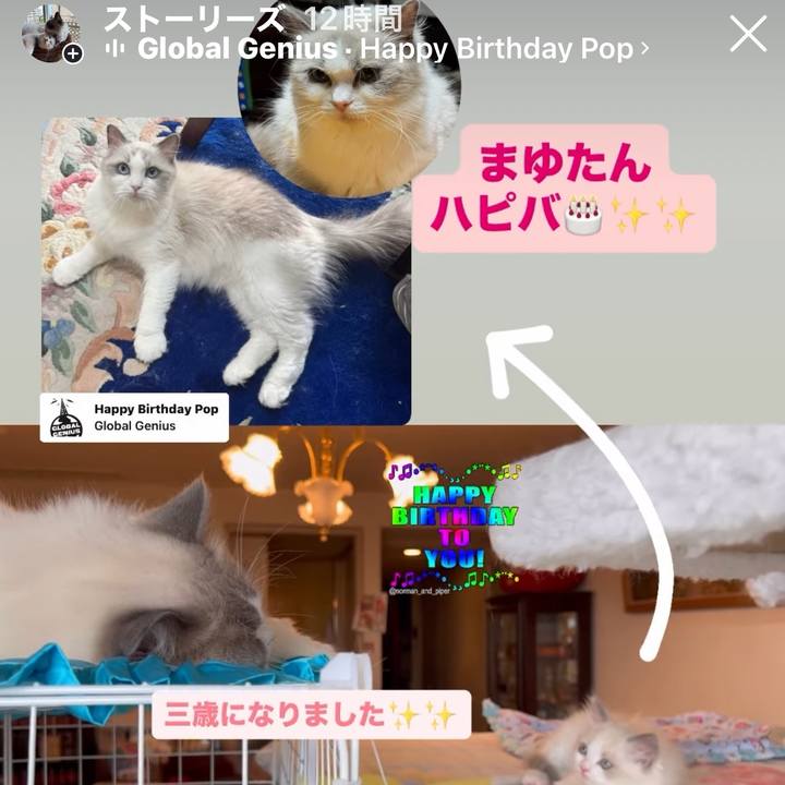 2bf20b06 33fd 41d8 8355 3057447bc308 1770763491628