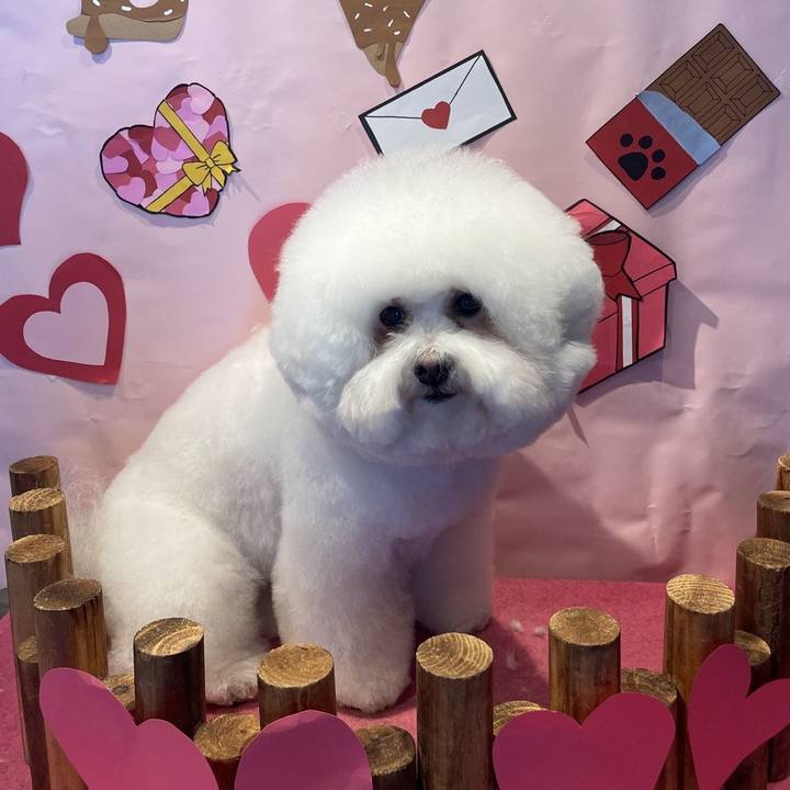 2bf210d7 82a0 49e4 ba8f b4f71633d7bb 1770523098466