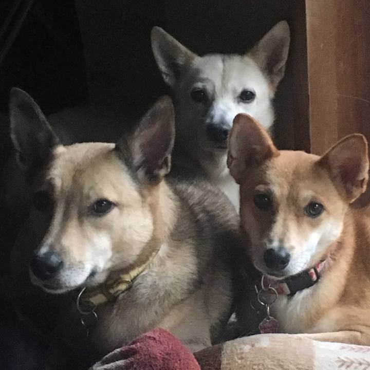 2bf2137b 9020 4ab9 b5bf 84db2864683c 1508632482130