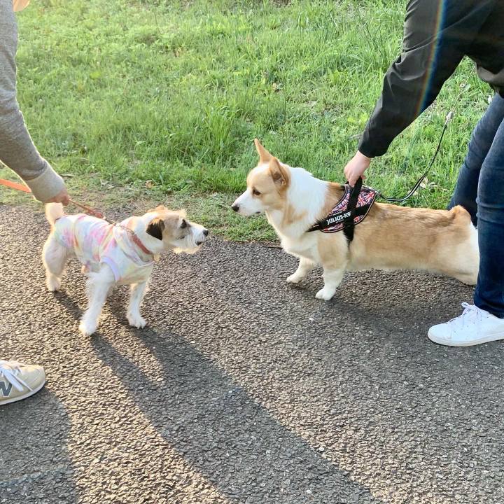 2bf248d9 4916 4848 8e2f 6b2ffab9c9bb 1651312549596