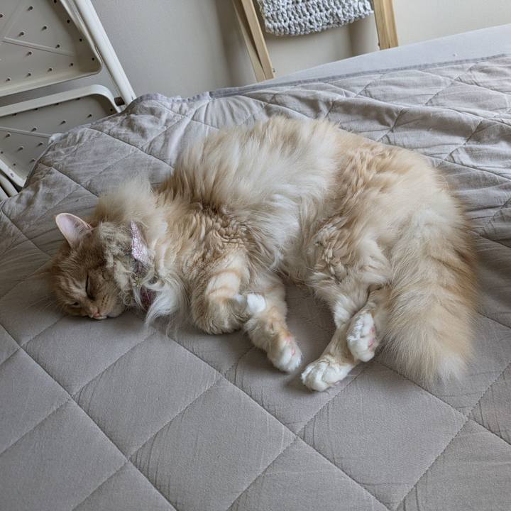 2bf2a31b 03a1 419b 848d b7b9b7796440 1751763276227