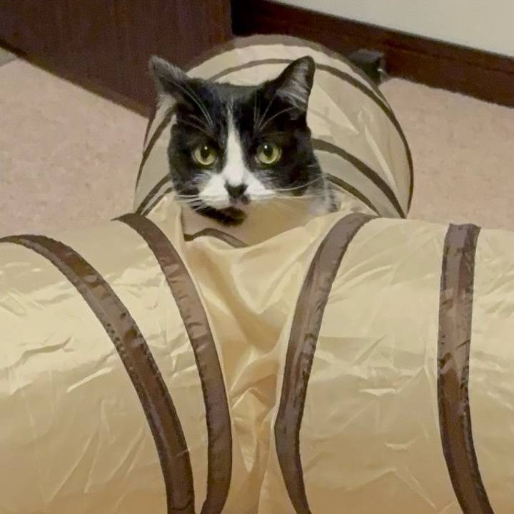 2bf2b3cd a345 4fbd 80d7 7c54dc7fbbd9 1769655963276