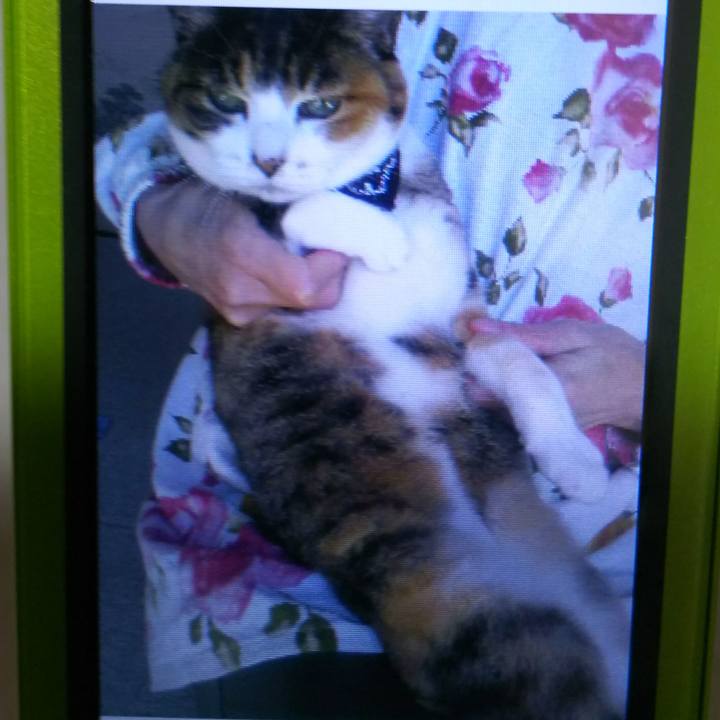 2bf33e7f b365 48cd b6e0 0553c922c471 1541846735939