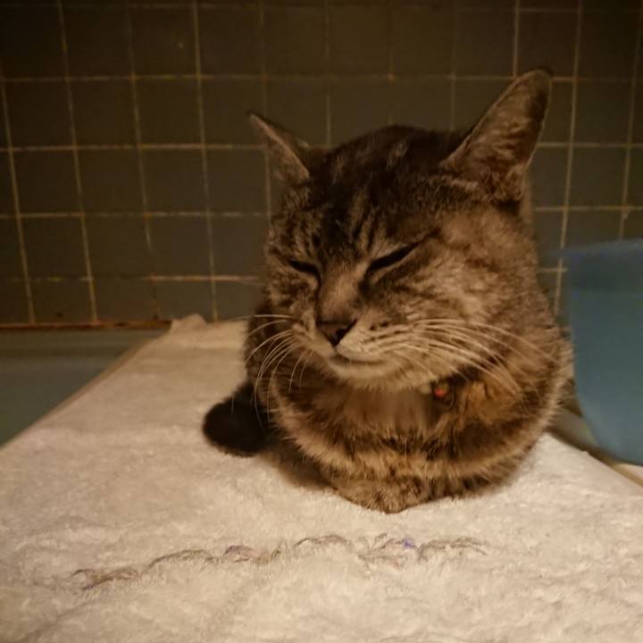 2bf39574 371a 4f6e b926 e8e7504f208d 1584263712079