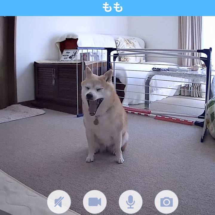 2bf3ac83 b02a 4474 b086 6e7f6025a933 1771654863499