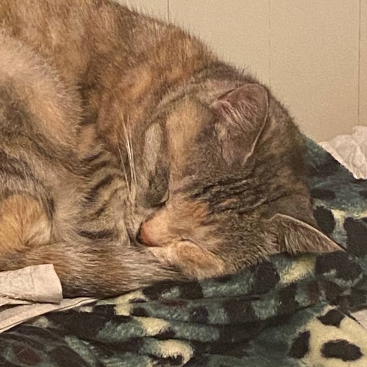 2bf3bc4b 3076 443d b73b cc40145a73ee 1586799225458