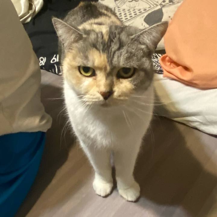 2bf4094e d201 43b6 943f e0c32b00ccad 1608477784254