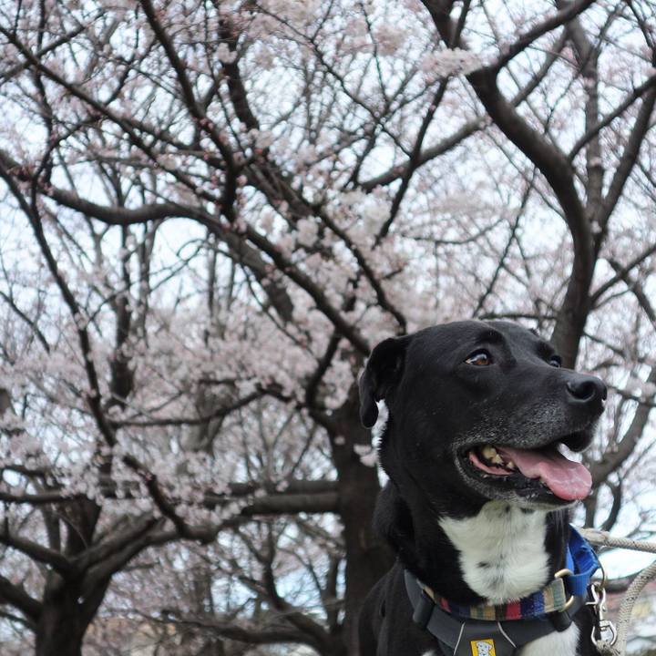 2bf44e6d 3e2d 4396 91c1 06b42cc37f8b 1648343139973