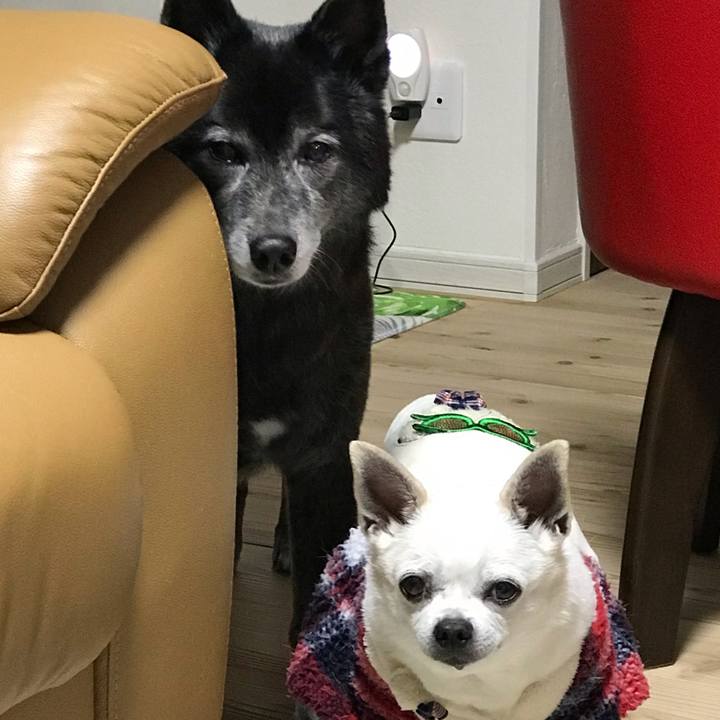 2bf47211 b7c3 40c7 aefc 4b0ded2ee5dd 1647312044496