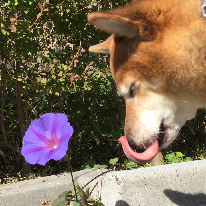 2bf48945 251c 415a 9e7e fe4c7b271eb6 1572850016948