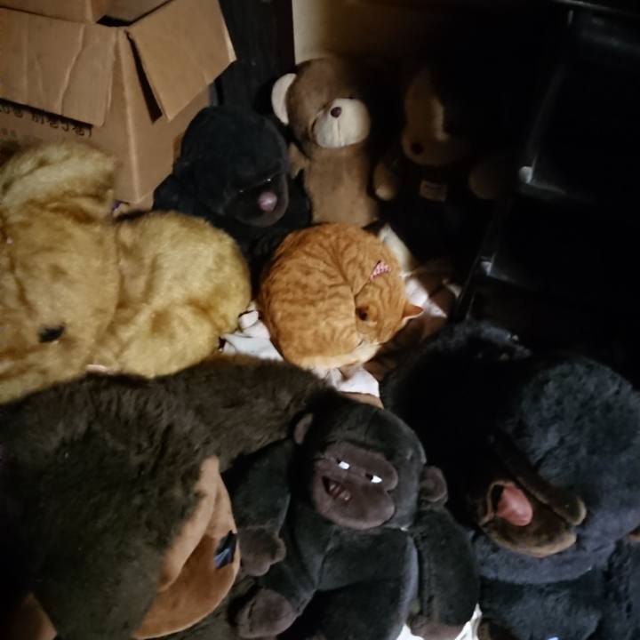 2bf49fc1 25db 4658 a7af c96eab29779b 1607341886119