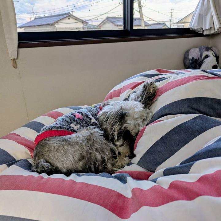 2bf4a52b dd11 4f38 bf45 7670b39fb9a2 1762314494330