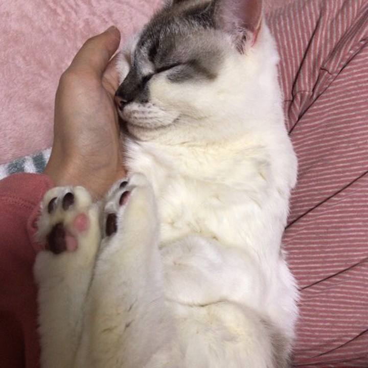 2bf4aefe 947e 43d6 8147 4acc67b2fd81 1544064253045