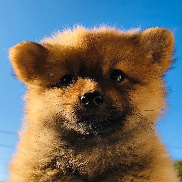 2bf4eed7 a0f4 4bf4 9691 fa7ea10ff1d3 1572949670857