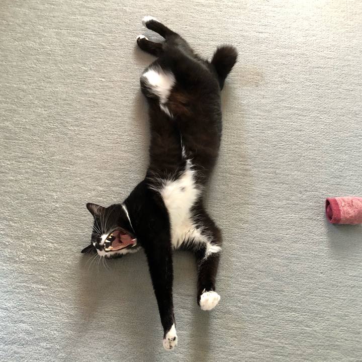 2bf4fbab 5c4b 4be6 a3ff 99c12a26839b 1589340862657