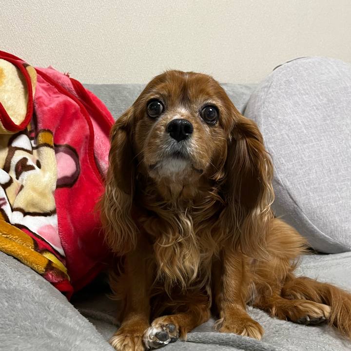 2bf58da5 1dcc 45d3 8a94 29966119e6ff 1708380390157