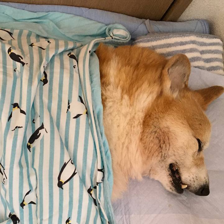 2bf5cf94 0654 499d afb0 f1953a88e6f9 1582247722694