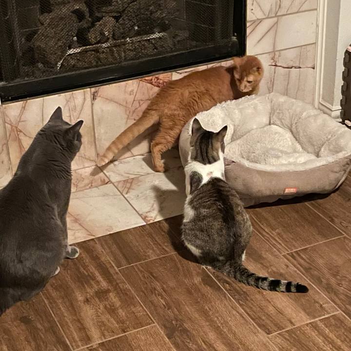 2bf5dae9 9fba 4c71 84a9 c24295196545 1695600819511