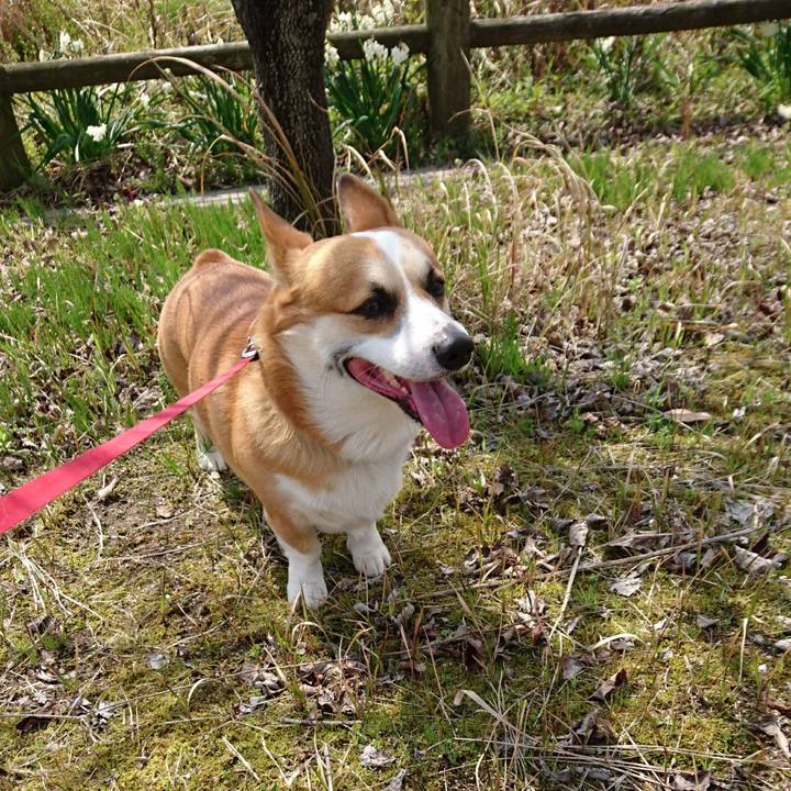 2bf623ef 54eb 4930 bcbc ec7e954ff0f1 1616451581161