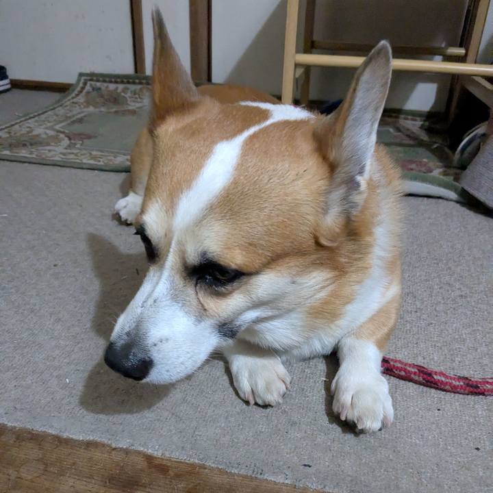 2bf65d4e 71f4 46dc 92af 025f05bd2530 1763681919193