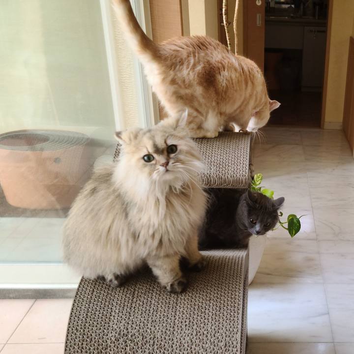 2bf6971b d854 499e 9ac0 3b9913a3b296 1620288968358