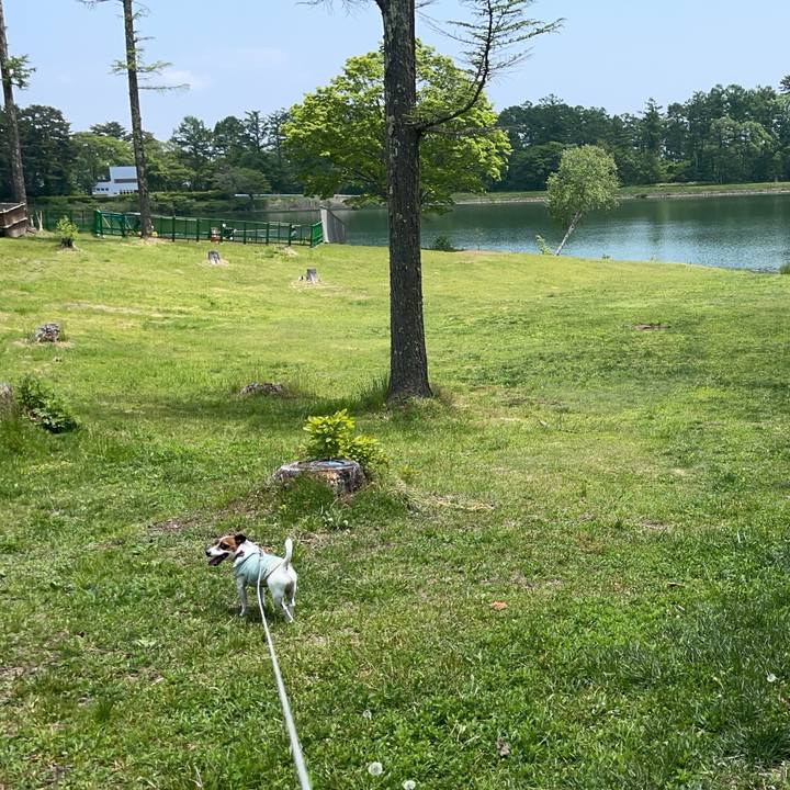 2bf6a39e 1c70 4d81 a73a 183daaa6f835 1716518881917