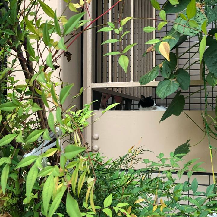 2bf6cfad 8363 4357 8559 ed1e08c04db2 1566718616022