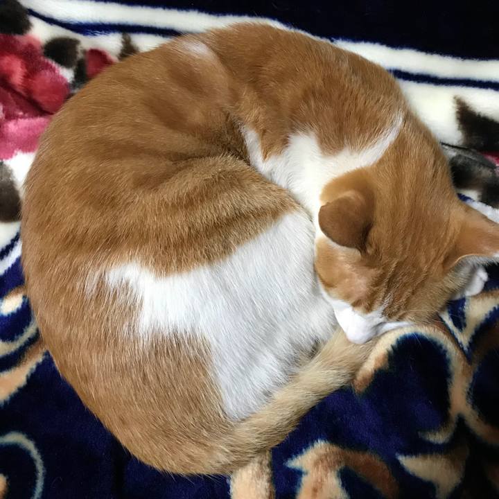 2bf6db66 7e90 496b 87ef 64b7a8951f75 1512381265019