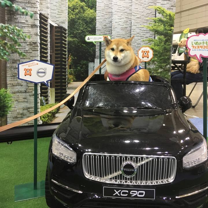 2bf6fc4d 6ab4 4efc 8f60 ec7979330628 1538110902903