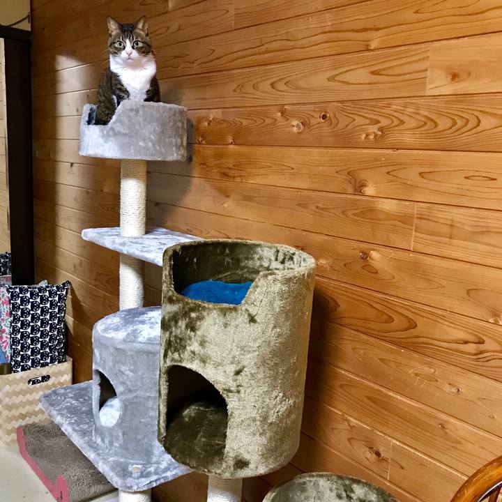 2bf704e9 764e 4978 a2bd fc8287de851a 1515970621376