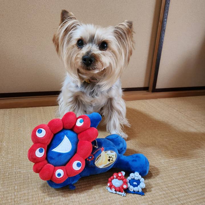 2bf75baa 4cb3 4843 b23c 0035581ec8fe 1767155605915