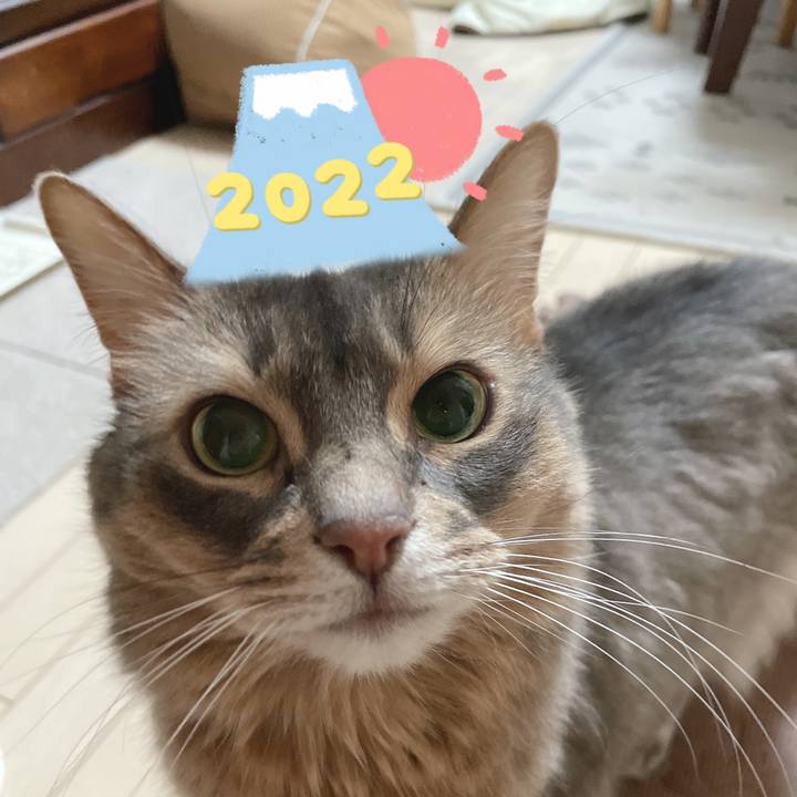 2bf75dd5 6f18 4e47 b054 57ad3ae6c4be 1641127697479