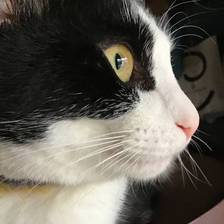 2bf76337 df8b 45f4 abab 9db869048720 1653038558267