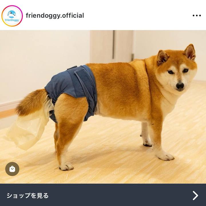 2bf7710f 8f54 4dfc 996c 3568917b1cea 1727669675693