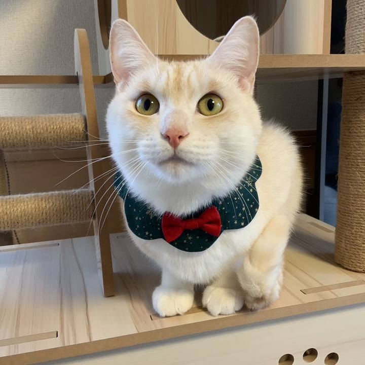 2bf78f86 7d6b 4260 87ff 537e878e7373 1703374742790