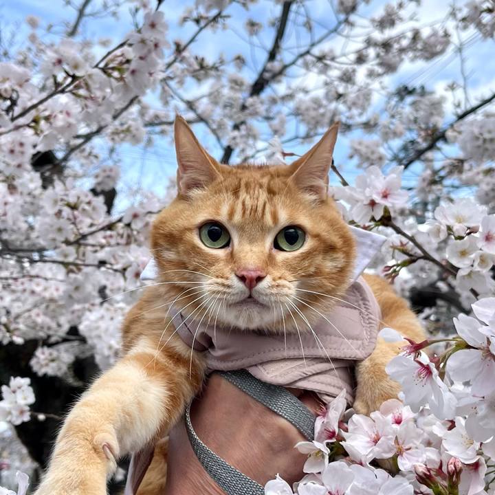 2bf7d62f 793a 4fd0 b4b4 679c11b243ae 1743544553162