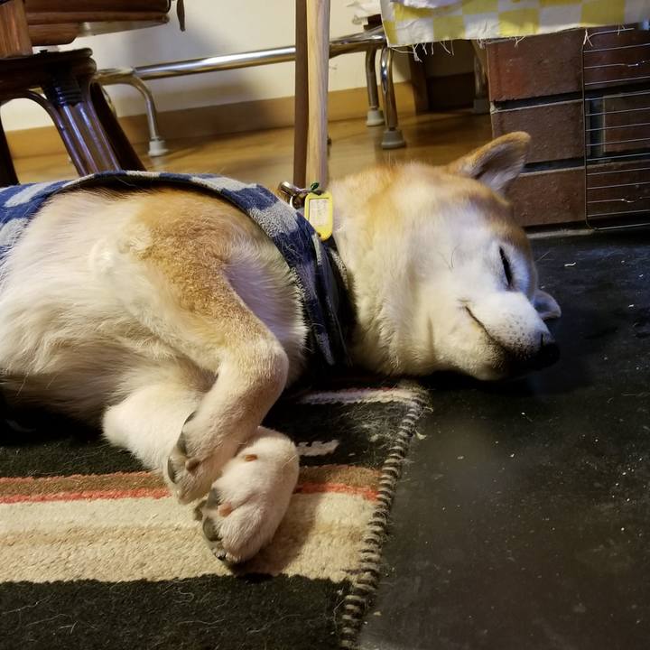 2bf81338 cfa6 4268 8574 7406568474c6 1580080457462