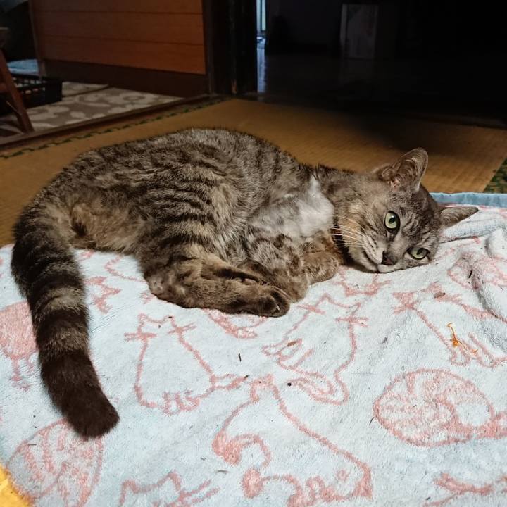 2bf814b3 2008 4c5d 9999 290c1cb1cc4d 1595928341944