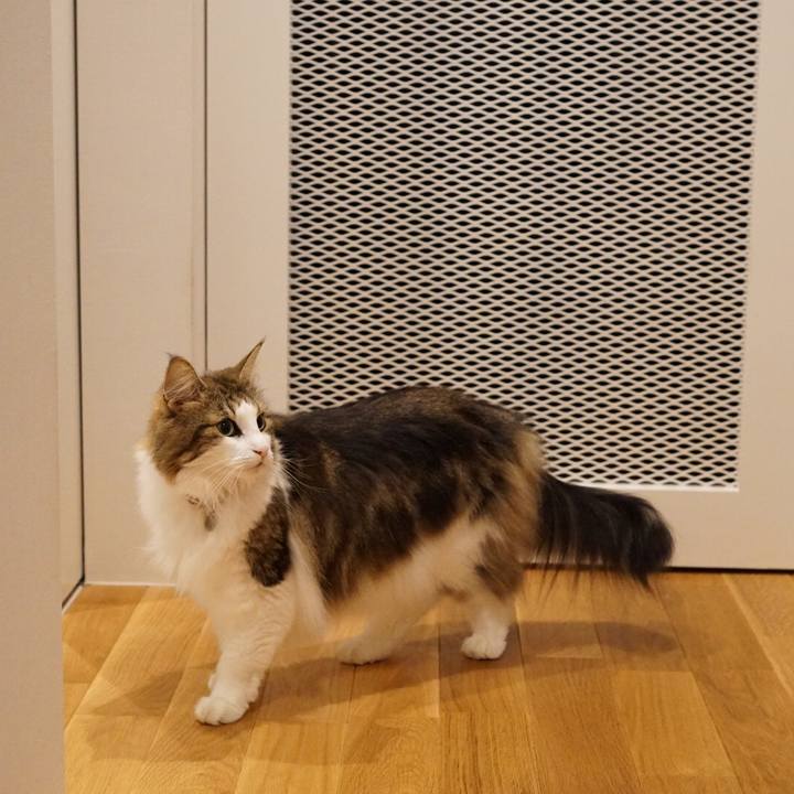 2bf8338d f631 4633 9305 7d792400680c 1570808007805