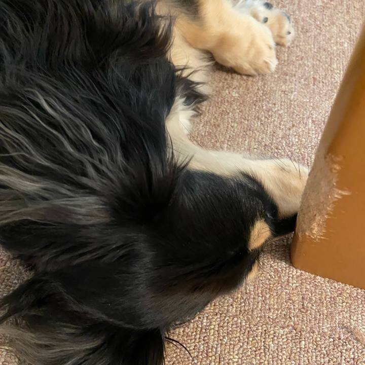 2bf86659 166d 4eb6 94a6 5c42171846c5 1689035298297