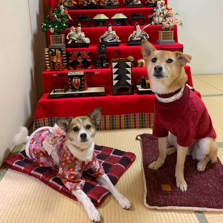 2bf8c932 a7b1 42eb a102 0541abdebac9 1583269617843