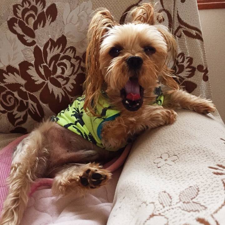 2bf9040e c4bf 439c 80a8 8b9cbf2e80a0 1526520117946