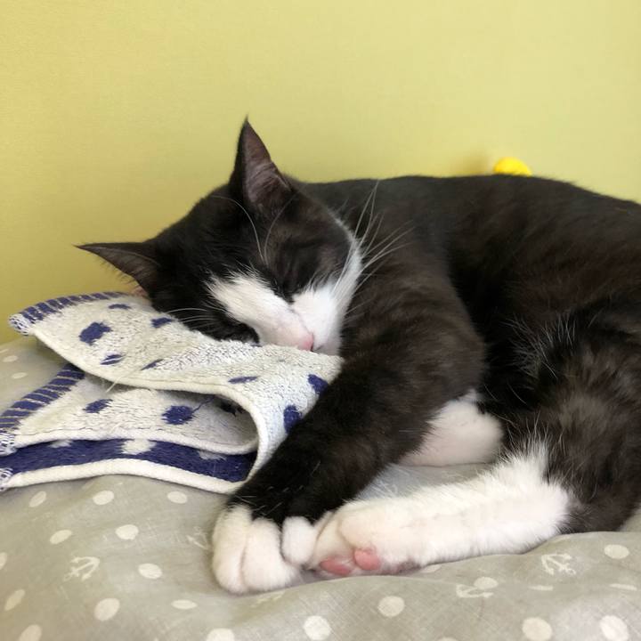 2bf917fc 7384 42bb 9fb0 73531e1b1aa5 1559360256748