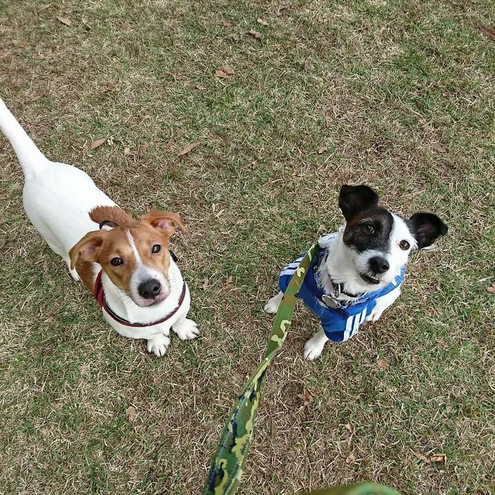 2bf92fd7 16d0 4906 a003 25d8c0599d27 1509788444443