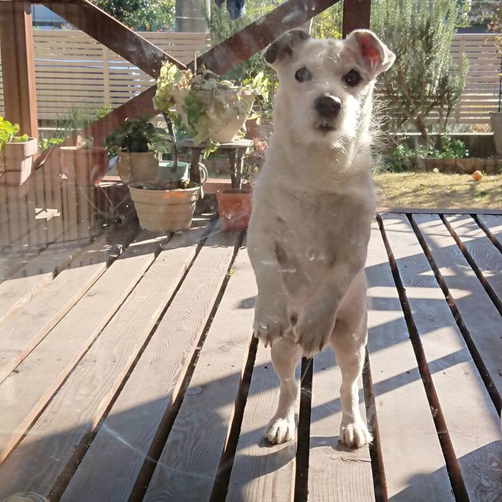 2bf931f7 7f25 428c 8153 09396b34c620 1546647813282